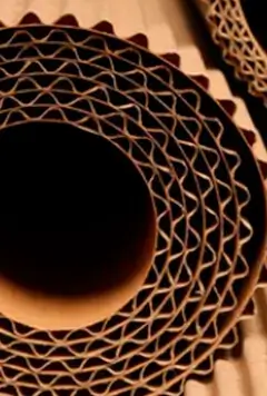 Corrugated cardboard